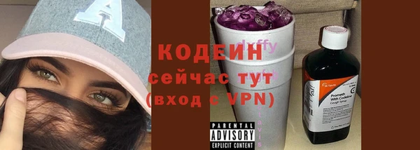 крисы Касимов