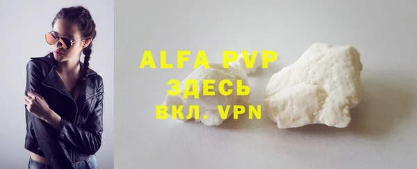 крисы Касимов