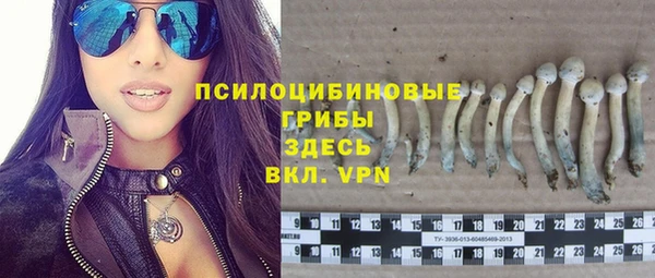 крисы Касимов