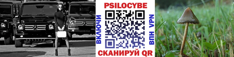 Купить  Нестеров  Псилоцибиновые грибы мухоморы 